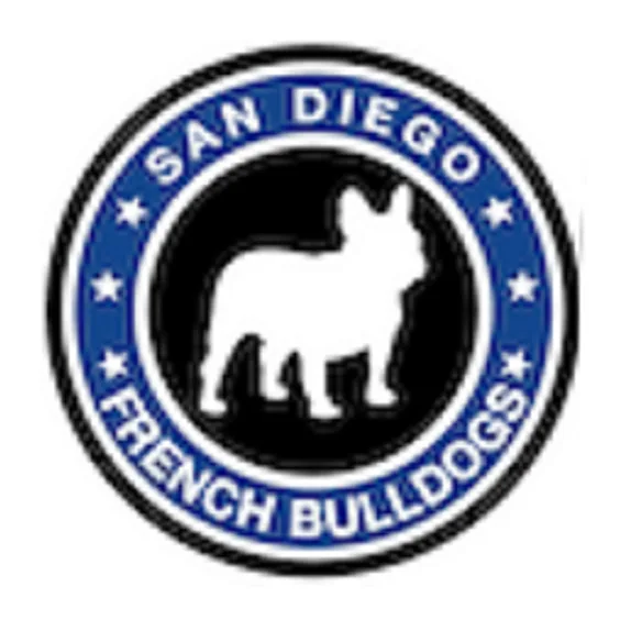 Blue Fawn French Bulldogs for Sale in California