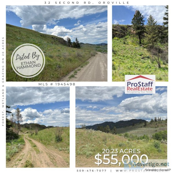 Forest Wetland and Grazing on 20 Acres
