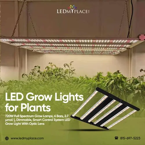 Shop LED Grow Lights for Plants Can Benefit Your Indoor Garden