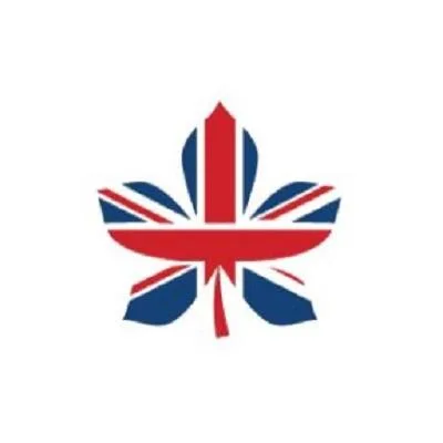 Retail Dissertation Topics Help in London