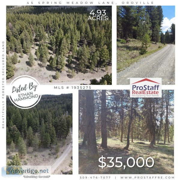 Beautifully Forested Secluded Land