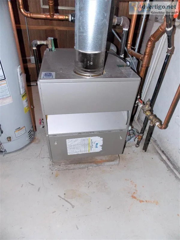 CACBDP Boiler