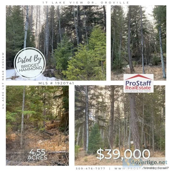 4&frac12 Acre Lot Near Chesaw
