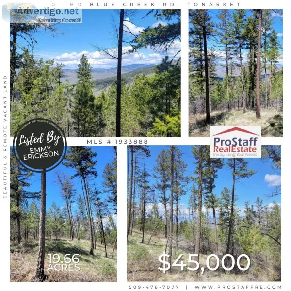 Beautiful and Remote Vacant Land