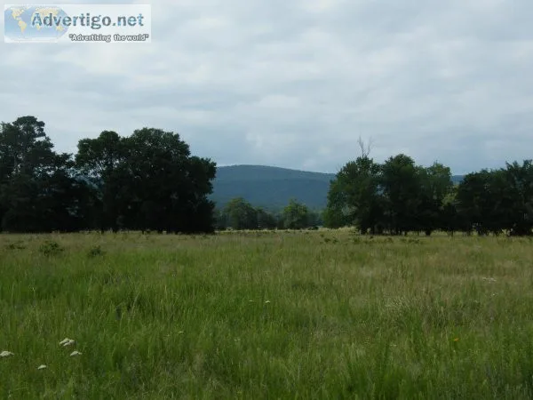 Pasture Land - Owner Financed