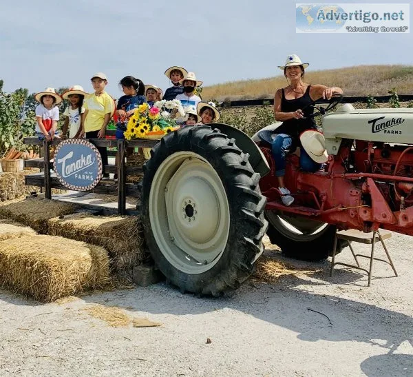 Spanish Summer Camp at Tanaka Farms