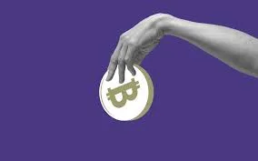 Where can i get thunder ev token wallet? | thunder ev