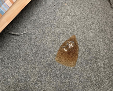 Carpet repair services in sydney - professional carpet repair 