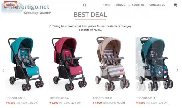 Ecommerce web development