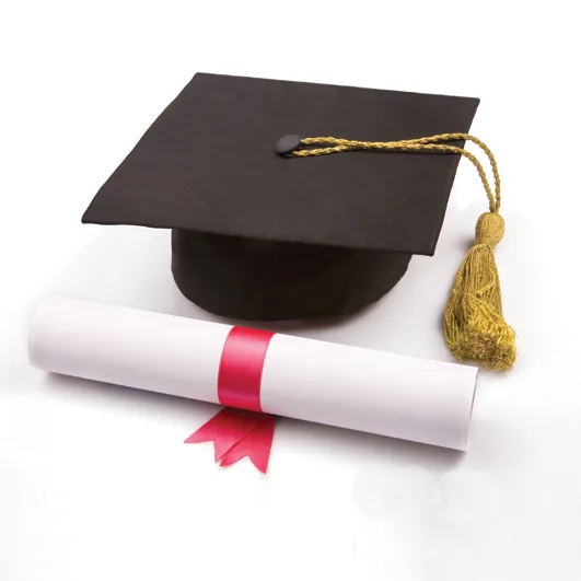 Diploma college in rajasthan