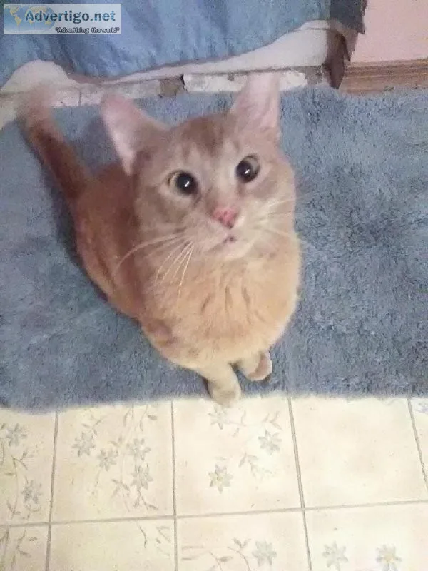 Rusty