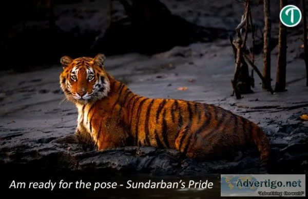 Sundarban package tour from kolkata