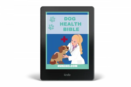 Purebred Samoyed Puppies for Adoption