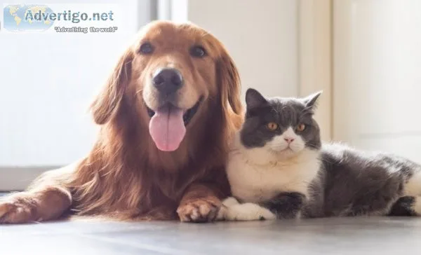 Pet products