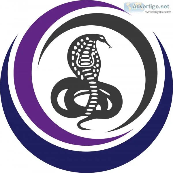 Performance testing services| website|application|software|load 