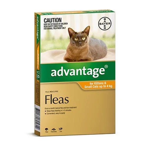 Buy Advantage For Kittens and Small Cats Up To 4kg Orange