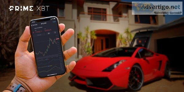 Auto-Copy Pro Traders - Best Online Trading Experience