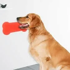 TOP TIPS ON DOG FIRST AID FOR GROOMERS
