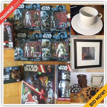 Toronto Downsizing Online Auction - Elm Avenue (CONDO)