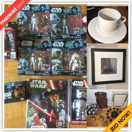 Toronto Downsizing Online Auction - Elm Avenue (CONDO)