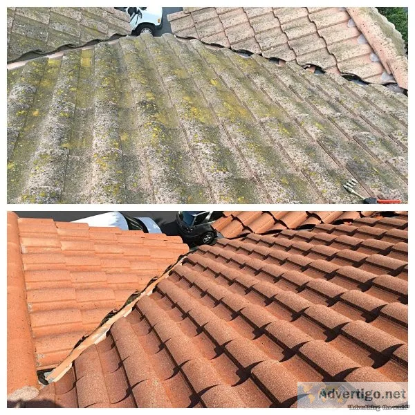 Roof Washing