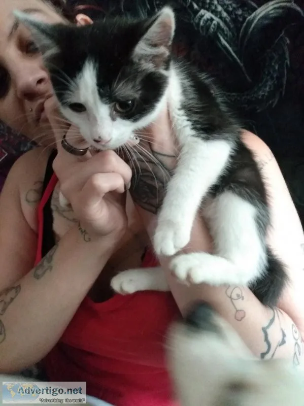 Chubs and stripes