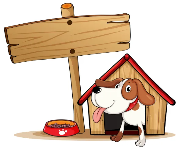 Top Ways to  Purchase online  the Cutest Puppy hoodies in Oklaho