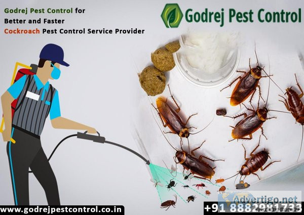 Godrej Pest Control for Better and Faster Cockroach Pest Control