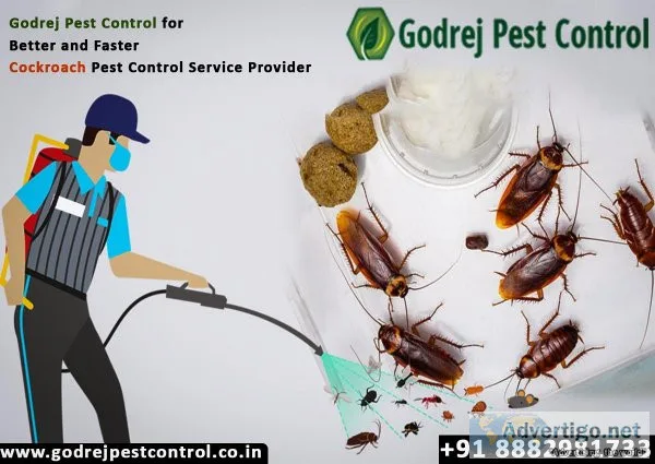Godrej Pest Control for Better and Faster Cockroach Pest Control