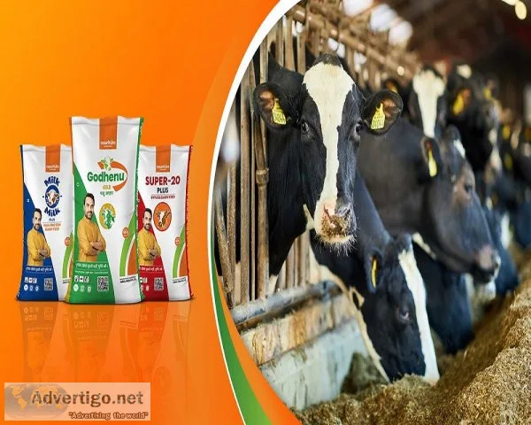 Most nutritious pashu ahaar is near you