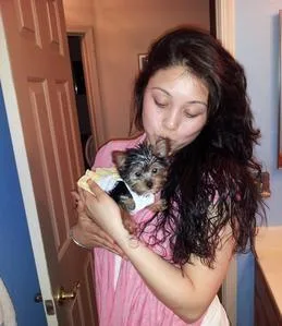 Magnificent Teacup Yorkie puppies