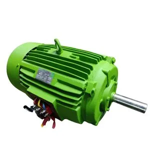 Permanent magnet synchronous motor