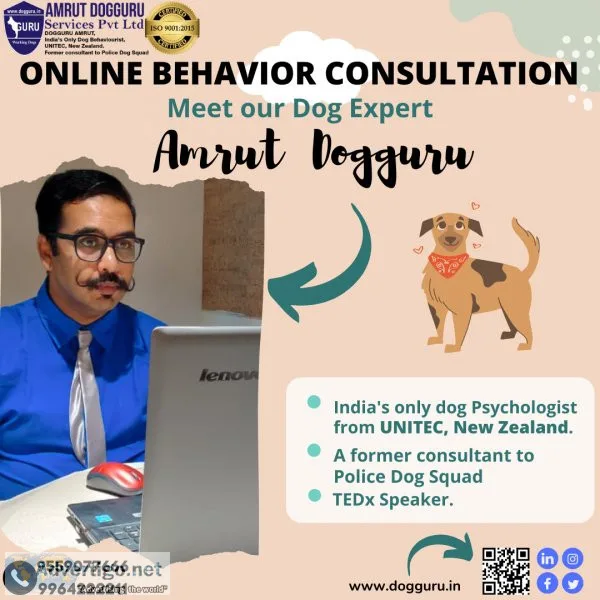 Amrut dogguru services pvt ltd