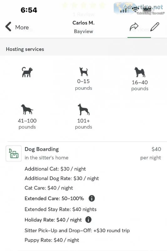 Professional dedicated pet sitter
