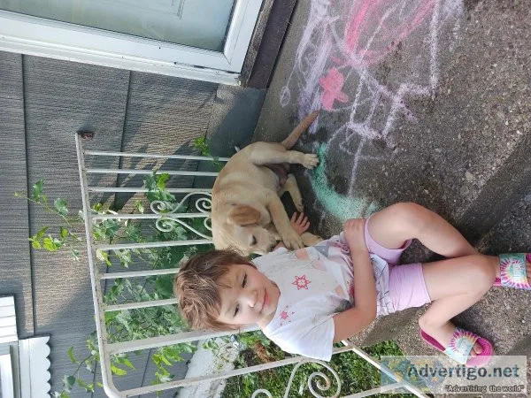 Puppy
