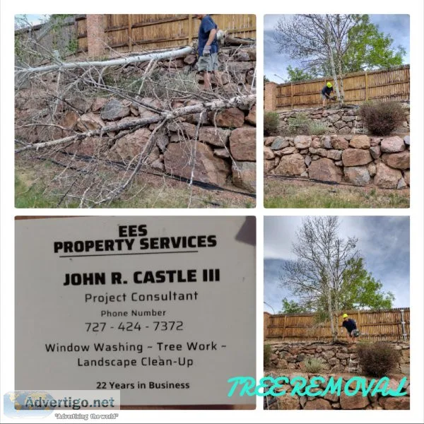 Does ur yard or trees need saving