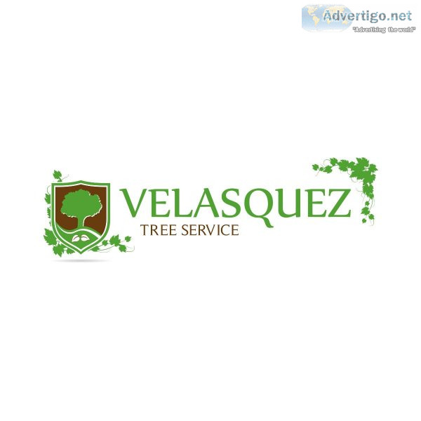 Velasquez Tree Service
