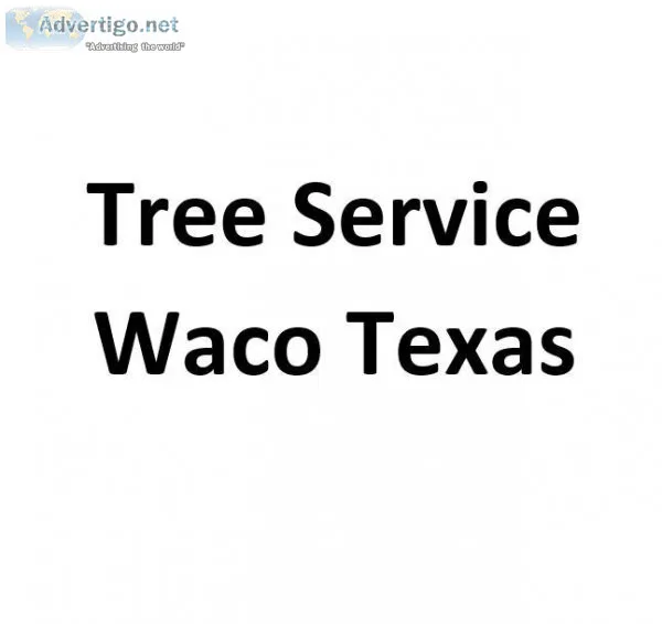 Tree Service Waco Texas