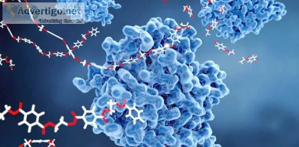 Detergent enzymes manufacturer in india - ultreze enzymes