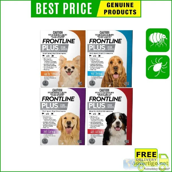 Frontline Plus Controls Flea and Tick for your Dogs