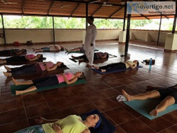 200 hour yoga teacher training bangalore - anushasan yogpeeth