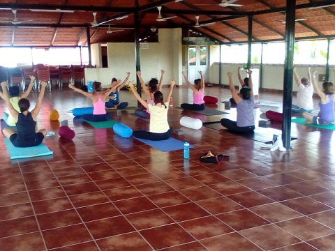 200 hour yoga teacher training bangalore - anushasan yogpeeth