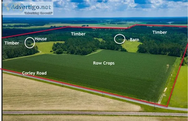 200 Acres - Barn and Home in NW Florida