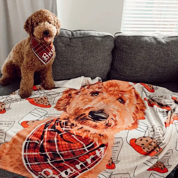 Searching for the Best Dog Blanket in Oklahoma