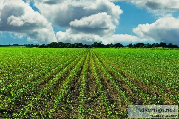 Agriculture Electrical Service and Parts Company for sale