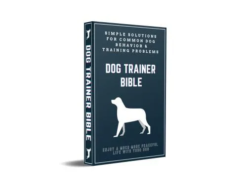 Your Dog s Behavior