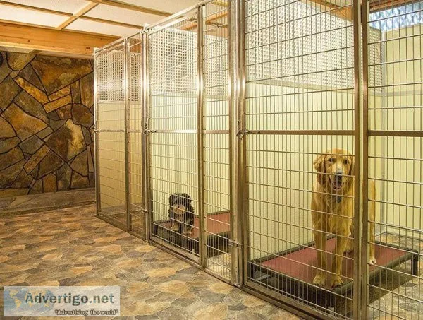 Looking for Dog Boarding services in Puyallup