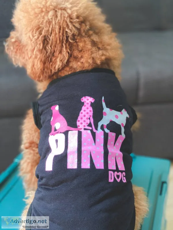 Best dog clothes