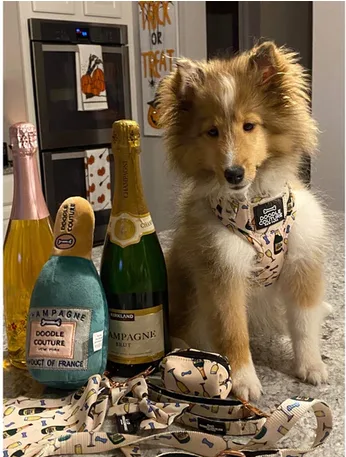 Buy Indestructible Plush Dog Toys at Online - Doodle Couture