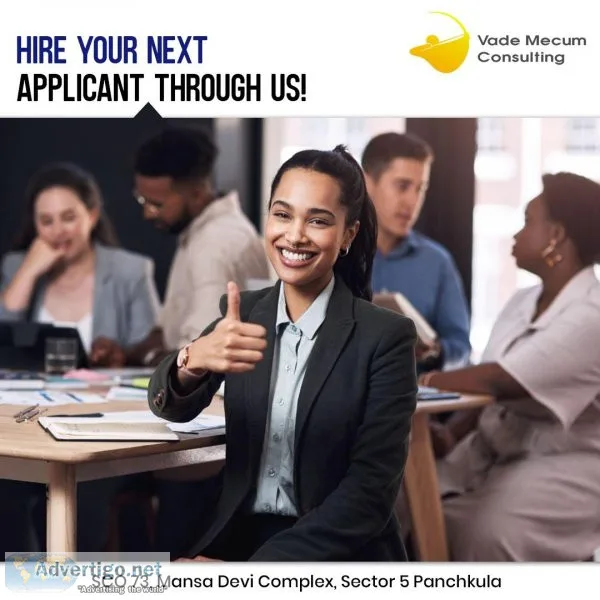 Get Accurate Career assessment by Vade Mecum Consulting